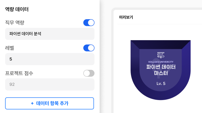 배지에 담을 역량 데이터 항목을 직접 설계하는 화면 · 직무 역량·레벨·프로젝트 점수 속성값 편집