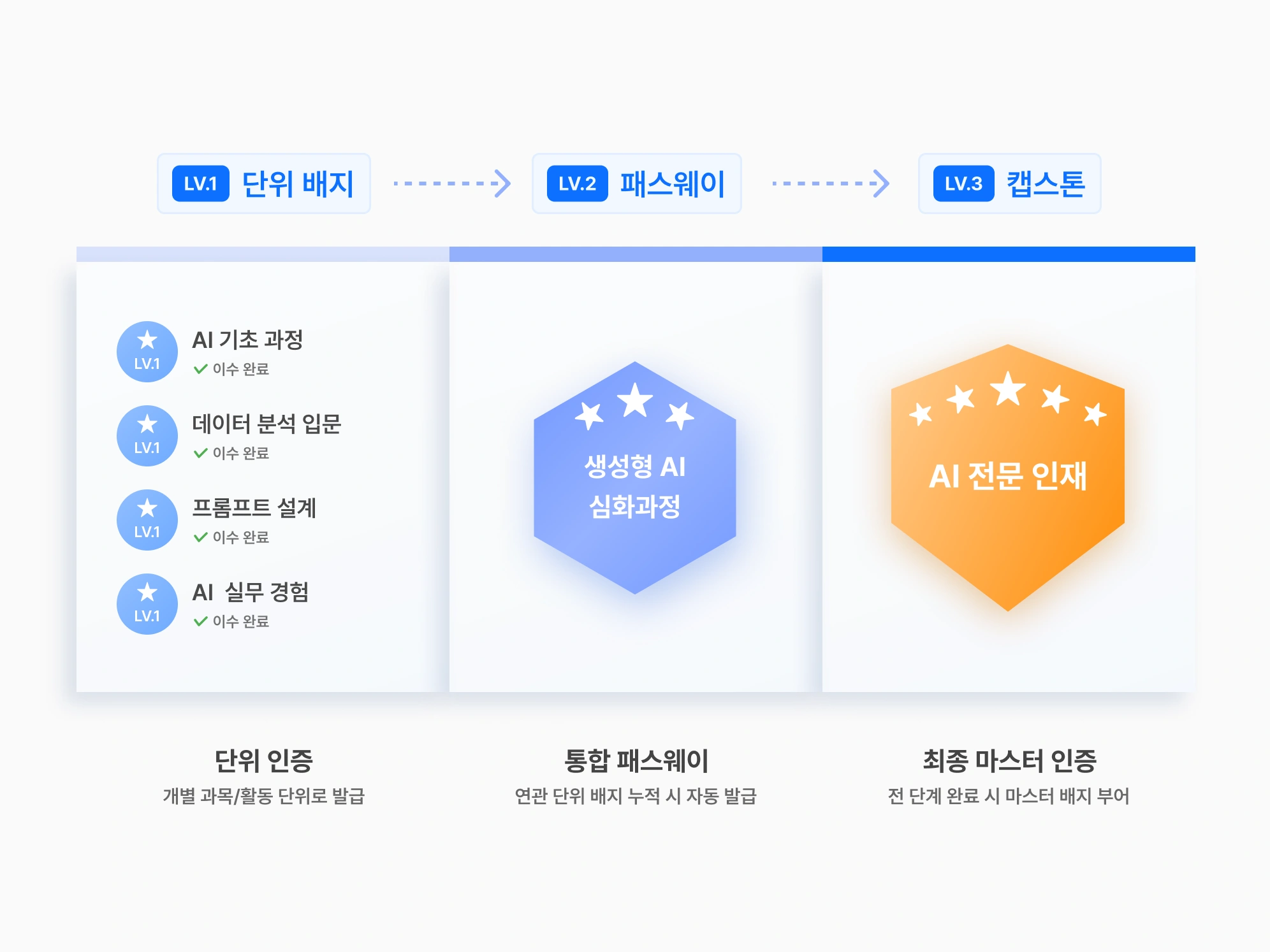배지 체계 및 역량 데이터 설계