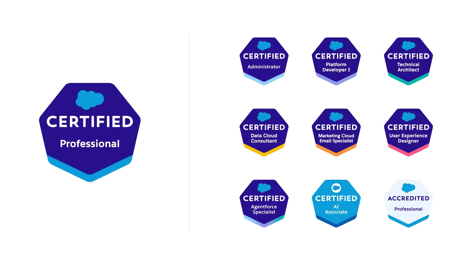 Salesforce 공인 자격증 디지털 배지 - Administrator·Platform Developer·Technical Architect·AI Associate 등 육각형 Certified 배지