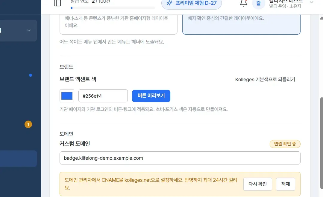 The brand accent color and the CNAME setup notice after connecting a custom domain